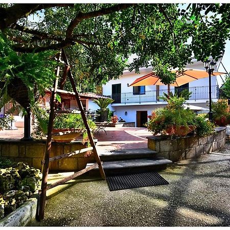 Soso Bed & Breakfast Sorrento Bagian luar foto