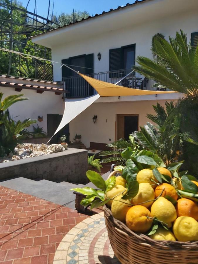 Soso Bed & Breakfast Sorrento Bagian luar foto
